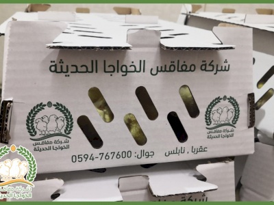 شركة مفاقس الخواجا الحديثة 